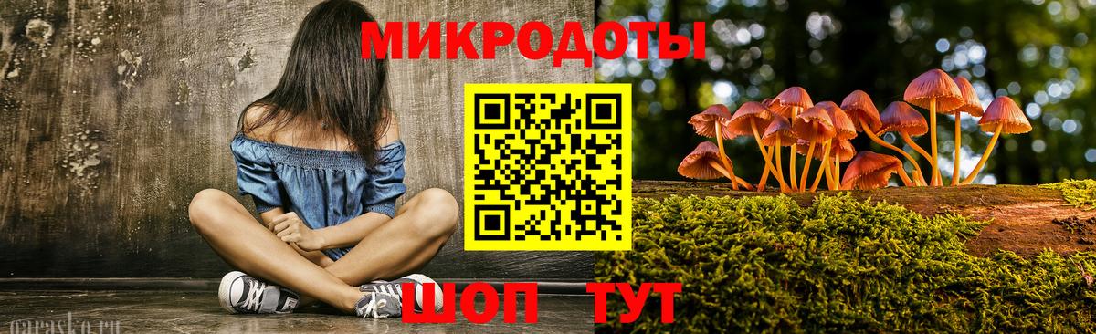 Вольск  Псилоцибиновые грибы прущие грибы  Вход с VPN 