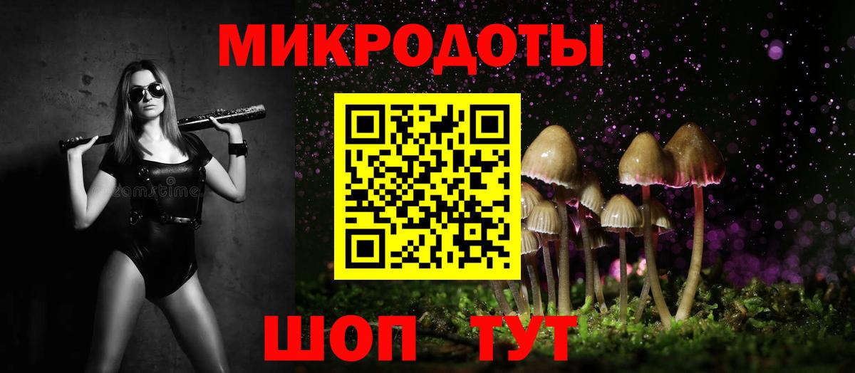 Галлюциногенные грибы Psilocybe Вольск